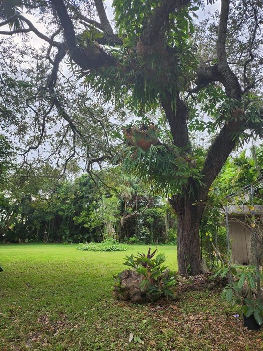 Недавно продано: $2,400,000 (3 спален, 3 ванн, 2980 Квадратных фут)