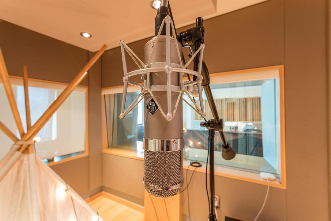 Fully Wired Microphone