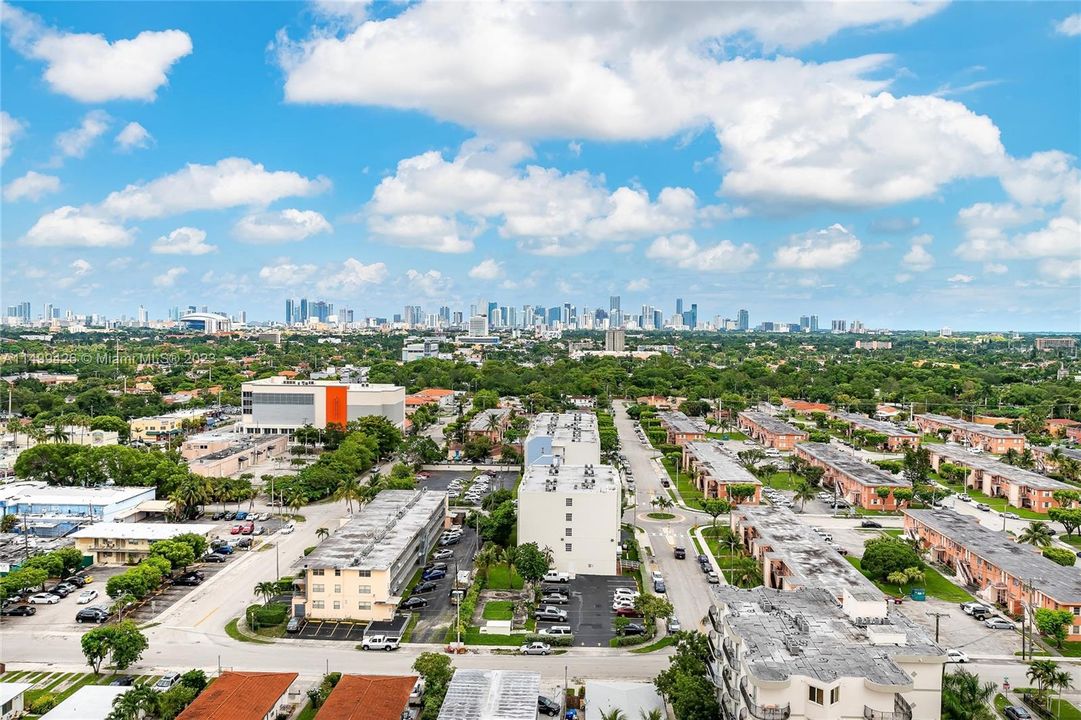View of Miami Skyline