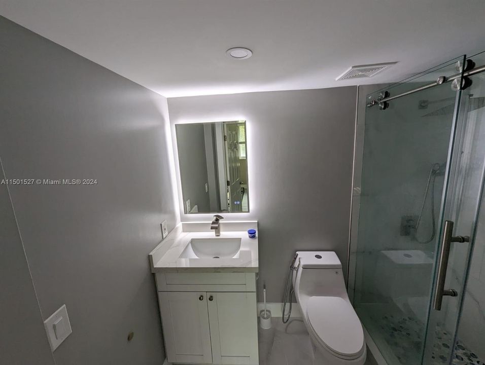 iIluminated mirror. toilet has bidet accessory