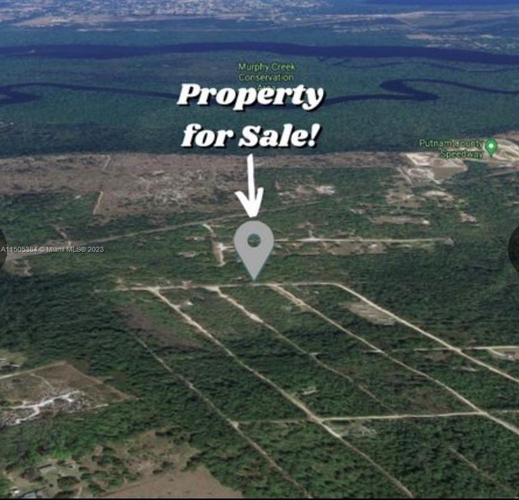 For Sale: $10,700 (0.23 acres)