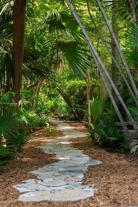 Walking trails through the Rain Forest