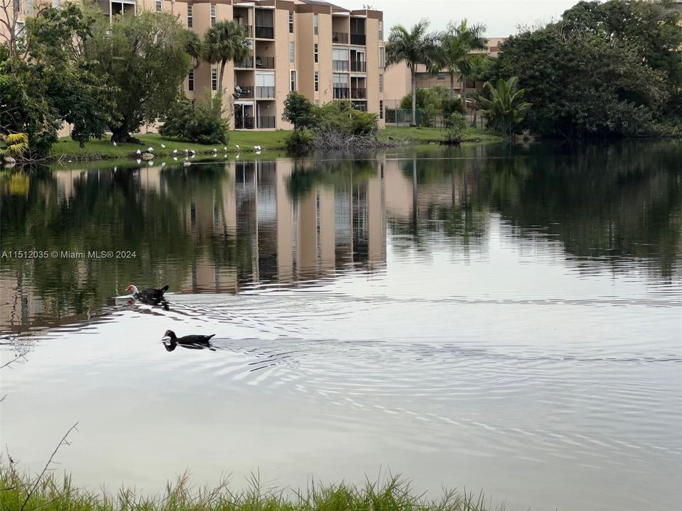 Recently Sold: $274,000 (3 beds, 2 baths, 1467 Square Feet)