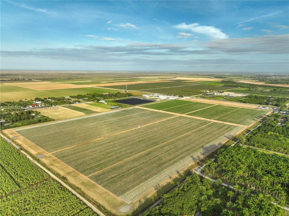 На продажу: $5,118,750 (52.50 acres)