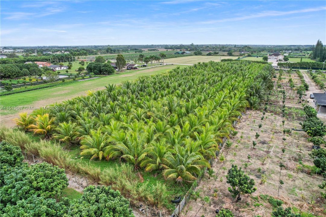 最近售出: $549,000 (0 贝兹, 0 浴室, 0 平方英尺)