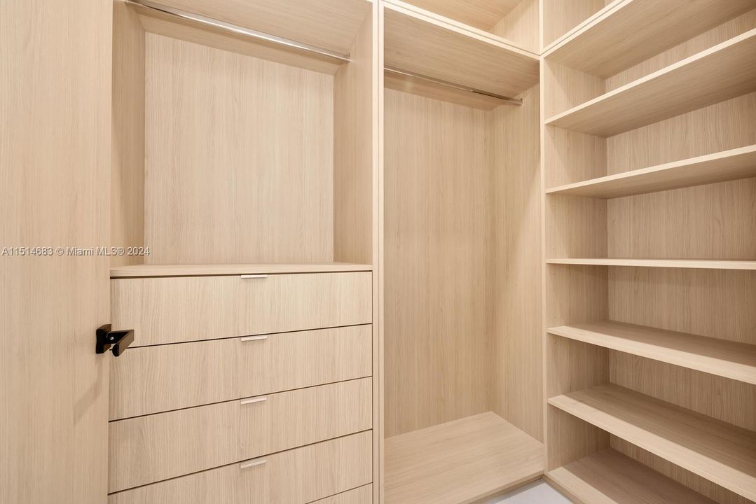 Entry level built in closet