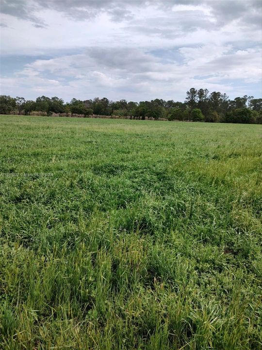 Vendido Recientemente: $2,300,000 (0 camas, 0 baños, 0 Pies cuadrados)