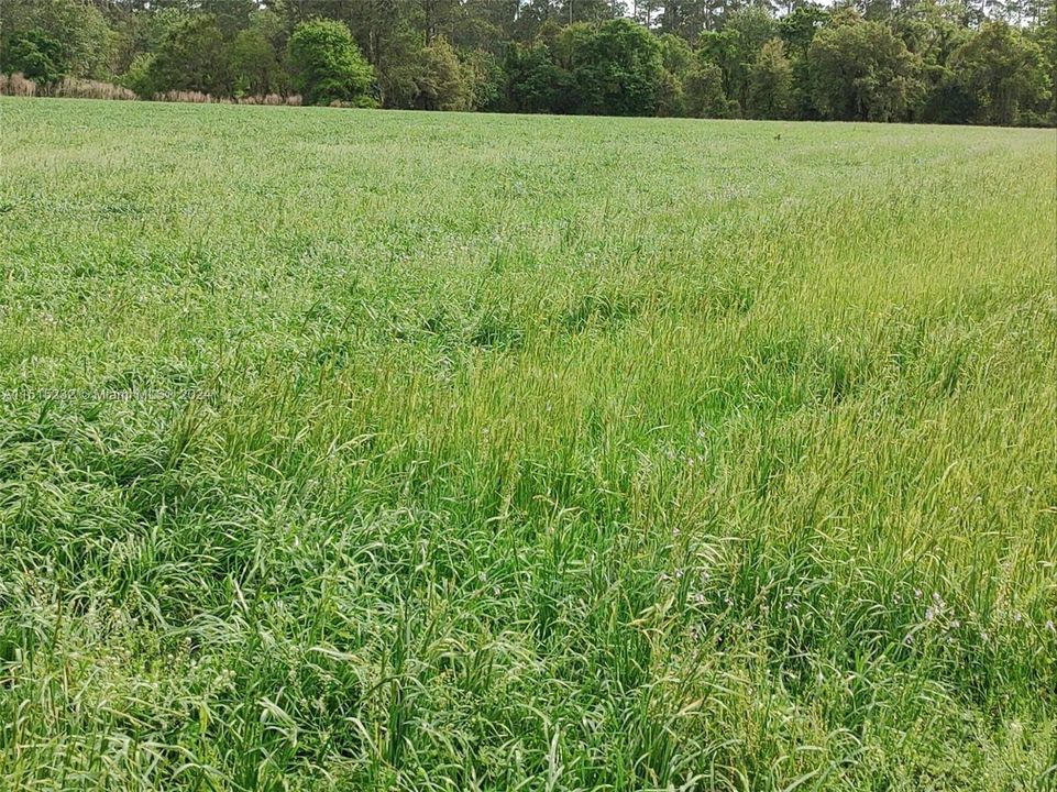 Vendido Recientemente: $2,300,000 (0 camas, 0 baños, 0 Pies cuadrados)