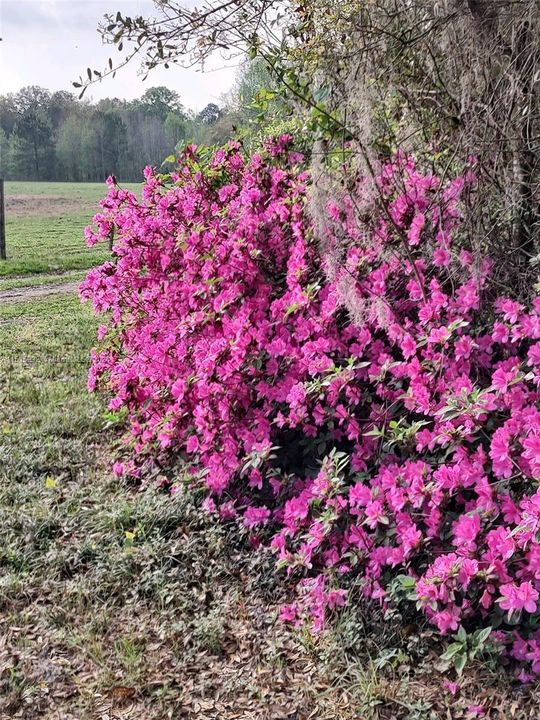 Vendido Recientemente: $2,300,000 (0 camas, 0 baños, 0 Pies cuadrados)