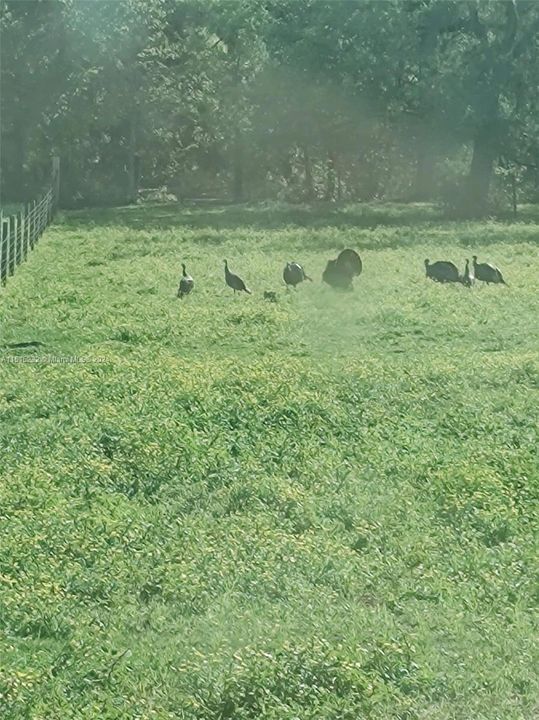 Vendido Recientemente: $2,300,000 (0 camas, 0 baños, 0 Pies cuadrados)