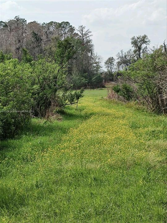 Vendido Recientemente: $2,300,000 (0 camas, 0 baños, 0 Pies cuadrados)