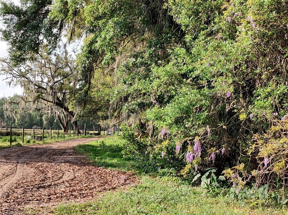 Vendido Recientemente: $2,300,000 (0 camas, 0 baños, 0 Pies cuadrados)