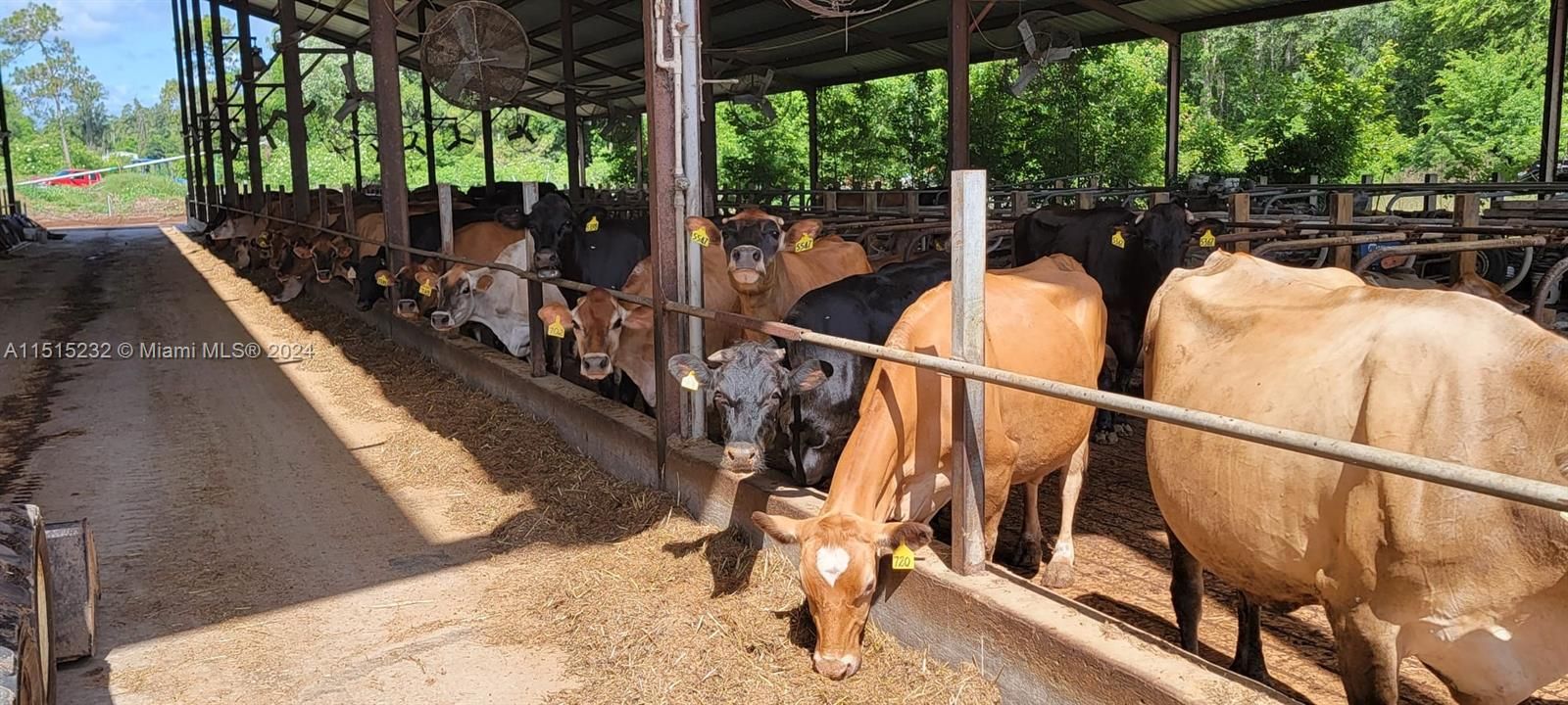 Vendido Recientemente: $2,300,000 (0 camas, 0 baños, 0 Pies cuadrados)