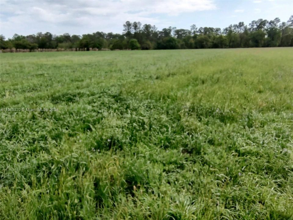 Vendido Recientemente: $2,300,000 (0 camas, 0 baños, 0 Pies cuadrados)