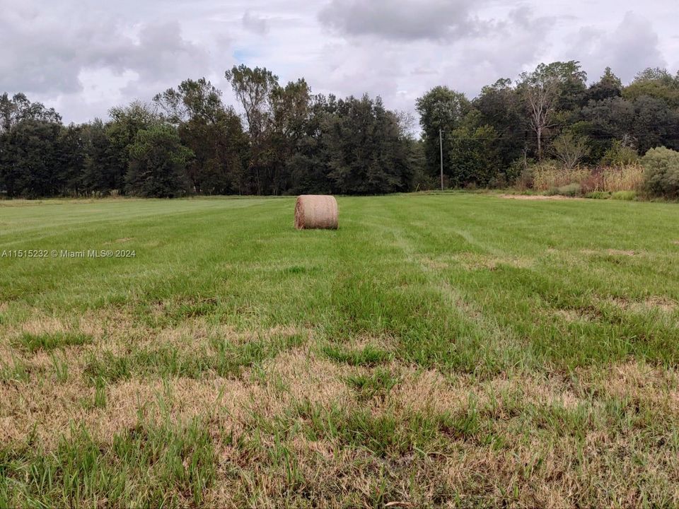 Vendido Recientemente: $2,300,000 (0 camas, 0 baños, 0 Pies cuadrados)