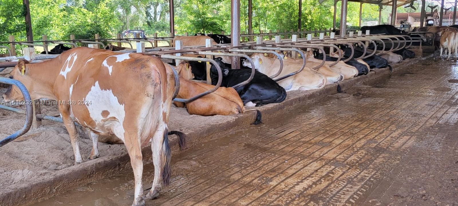 Vendido Recientemente: $2,300,000 (0 camas, 0 baños, 0 Pies cuadrados)