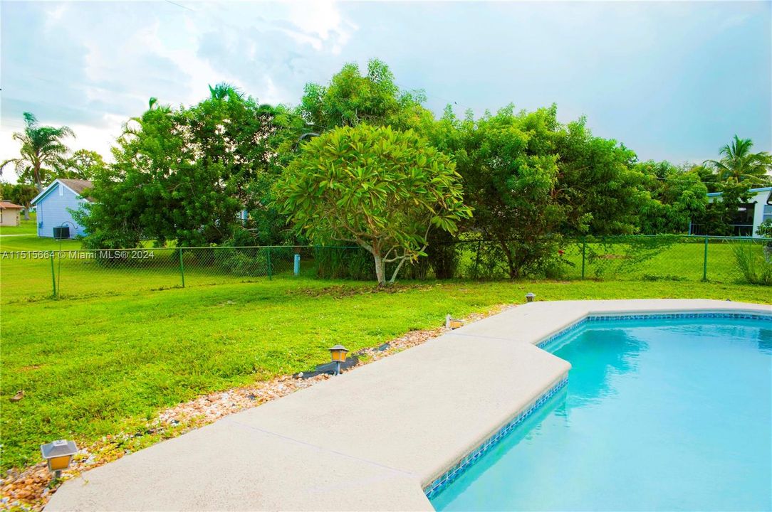 Backyard and Pool