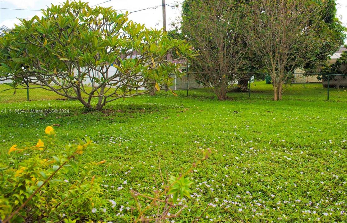 Fully Fenced Backyard