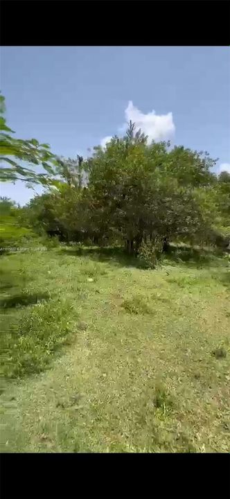 Vendido Recientemente: $228,500 (1.25 acres)