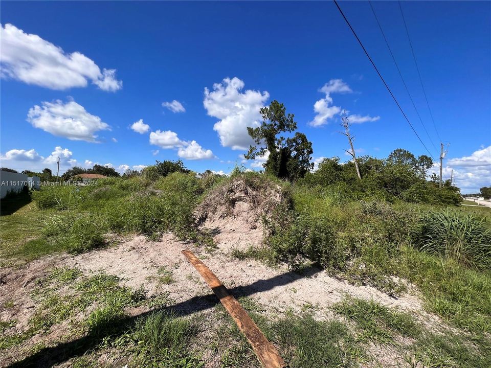 Activo con contrato: $19,000 (0.25 acres)