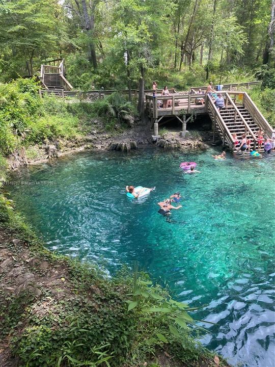 Madison blue spring