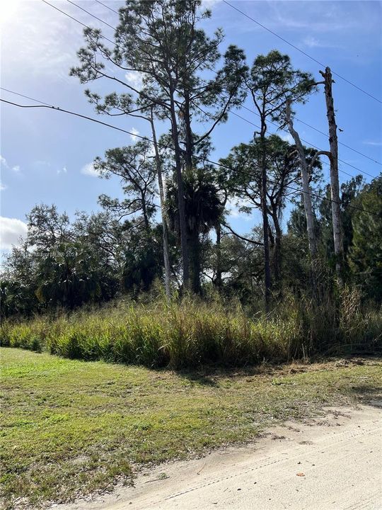 Active With Contract: $30,000 (0.26 acres)