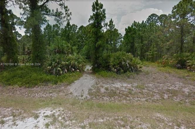For Sale: $45,500 (1.25 acres)