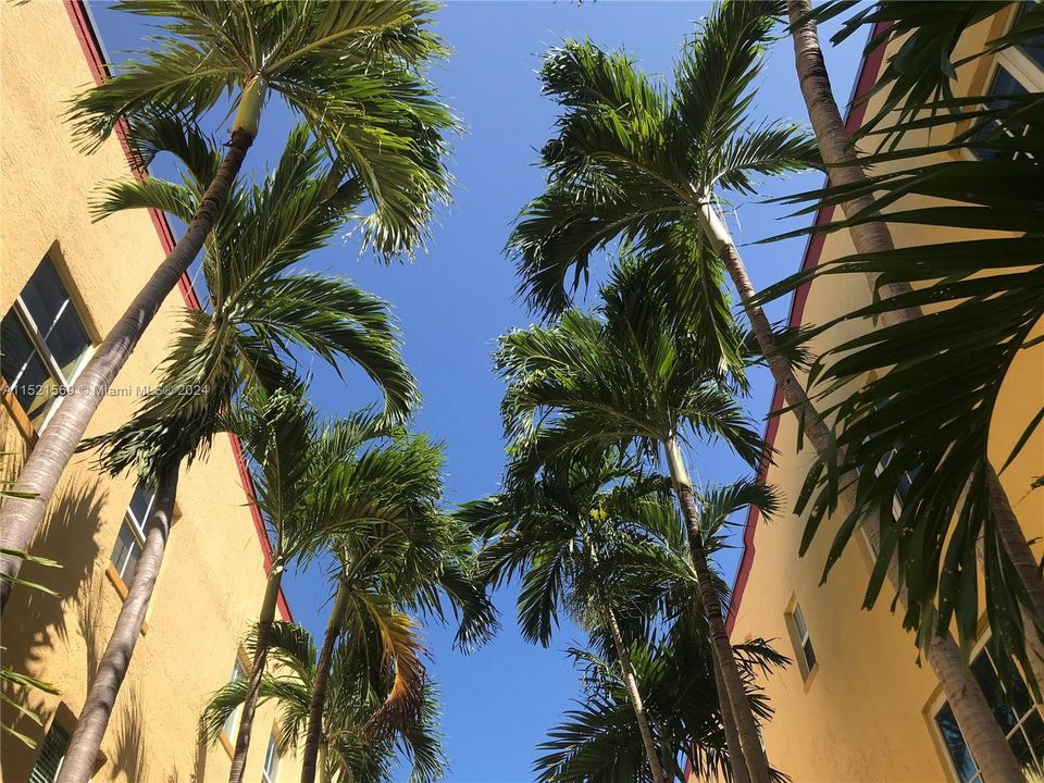 Recently Rented: $2,100 (1 beds, 1 baths, 580 Square Feet)