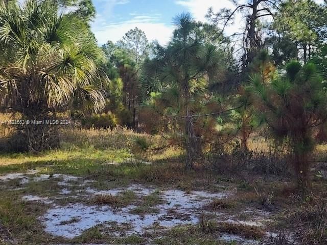 Recently Sold: $45,000 (1.07 acres)