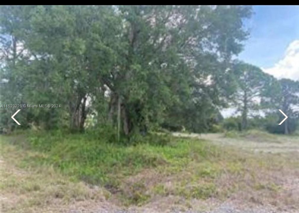 For Sale: $95,000 (1.25 acres)