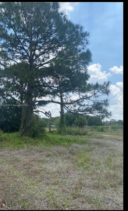 For Sale: $95,000 (1.25 acres)