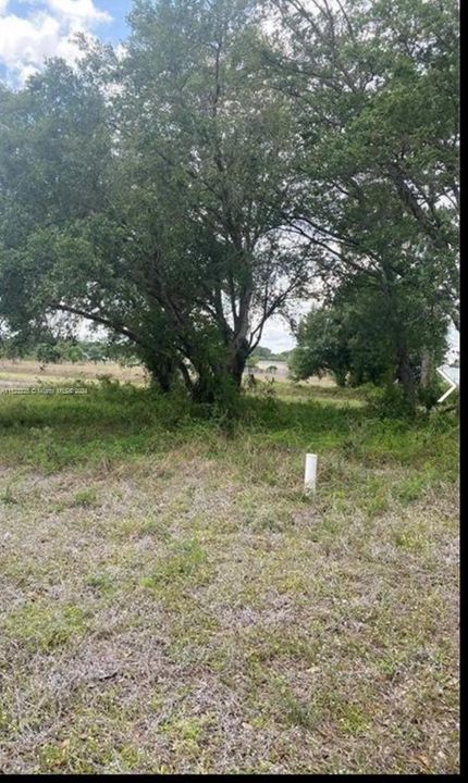 For Sale: $95,000 (1.25 acres)