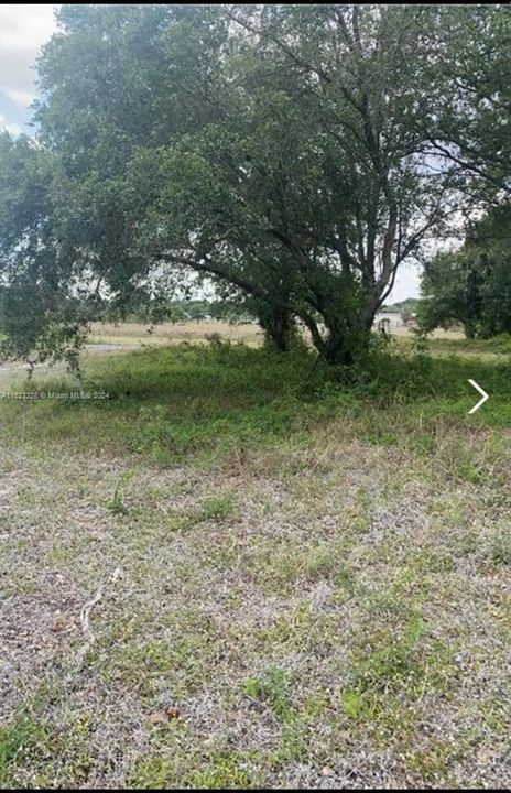 For Sale: $95,000 (1.25 acres)