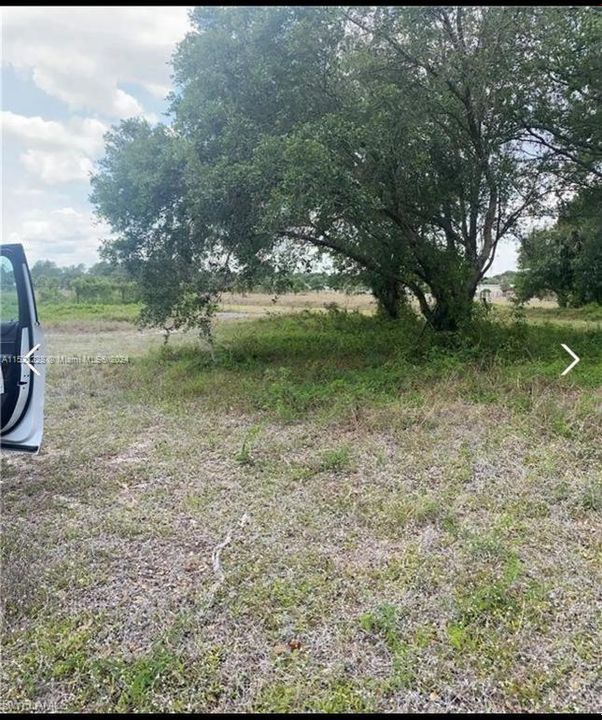 For Sale: $95,000 (1.25 acres)