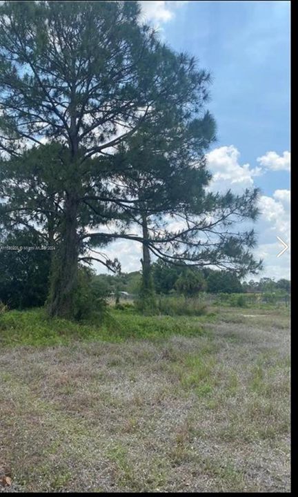 For Sale: $95,000 (1.25 acres)