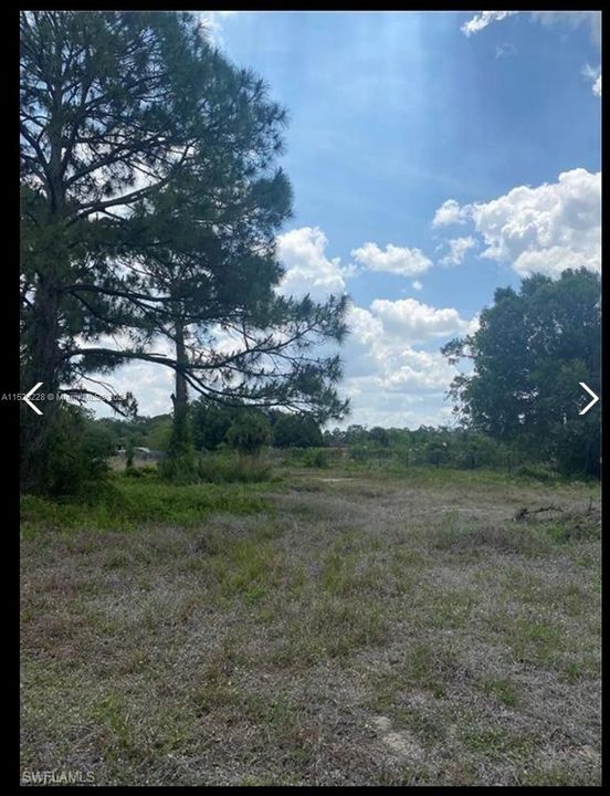 For Sale: $95,000 (1.25 acres)