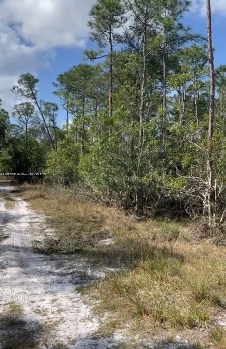 Active With Contract: $39,000 (0.26 acres)