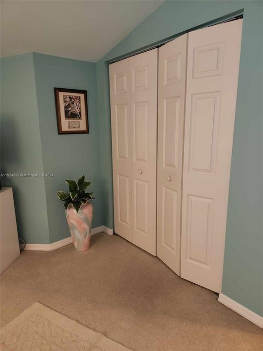 Large closet in Guest room