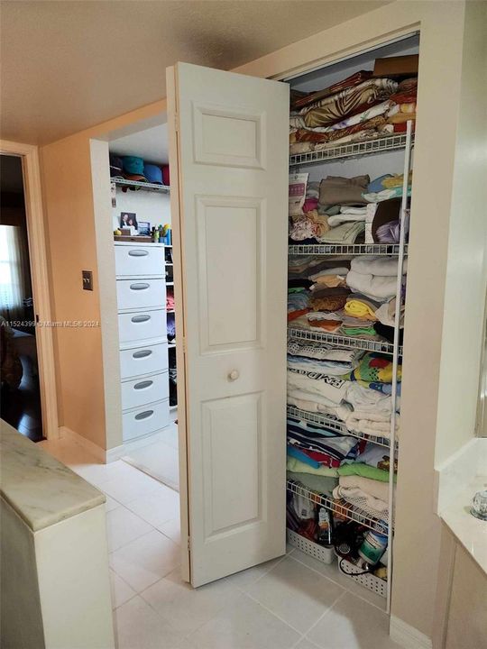 Master bath linen closet