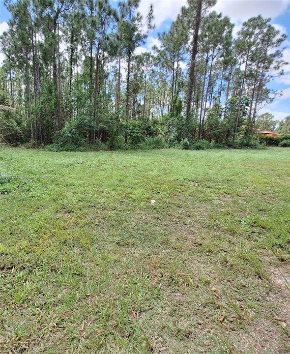 For Sale: $295,000 (1.17 acres)