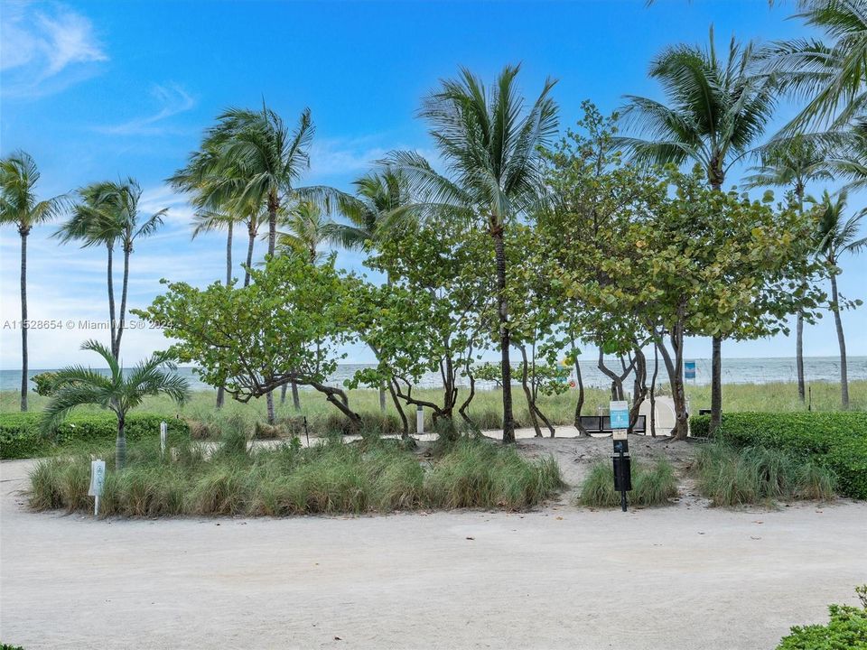 Beach walking path