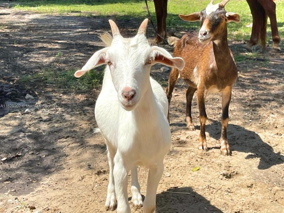 Recently Sold: $394,999 (4 beds, 2 baths, 0 Square Feet)