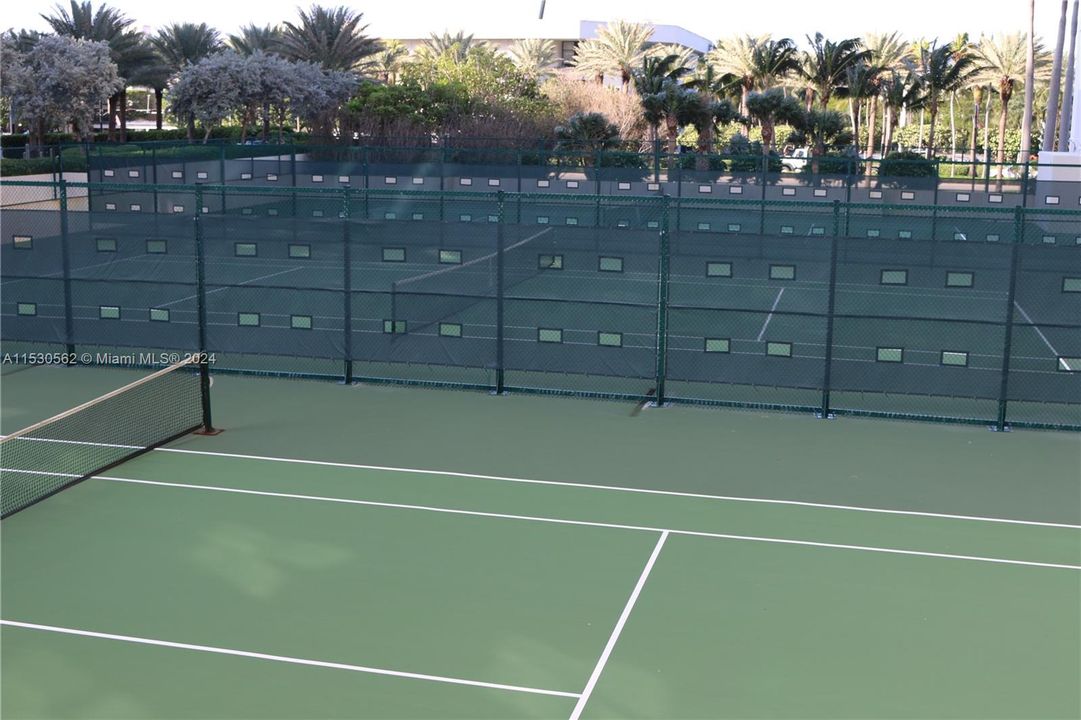 3 tennis courts