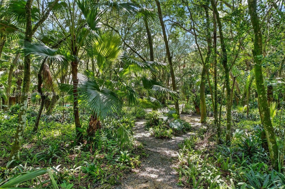 MEANDERING PATHWAYS THROUGHOUT THE 5 ACRE, 85% COVERED IN HAMMOCK.