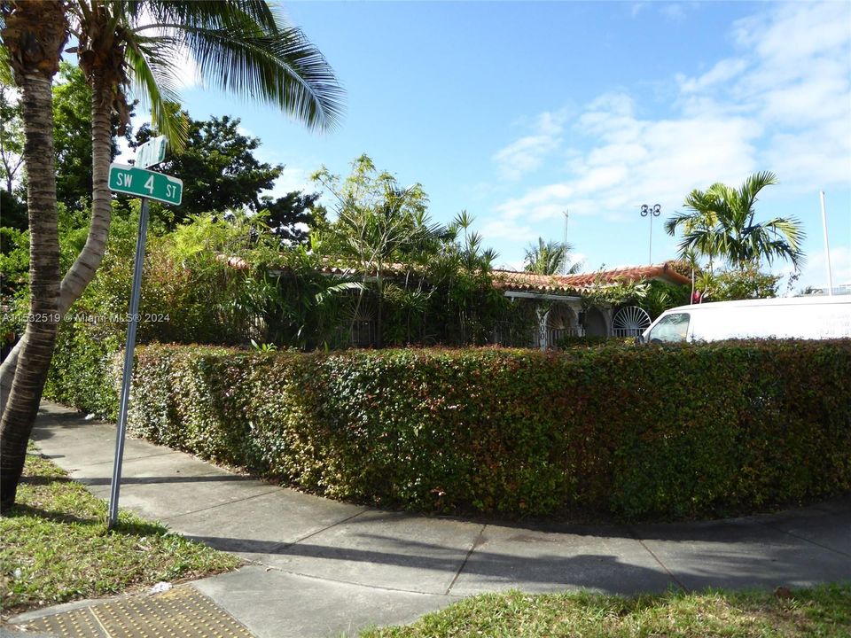 corner lot with privacy hedge