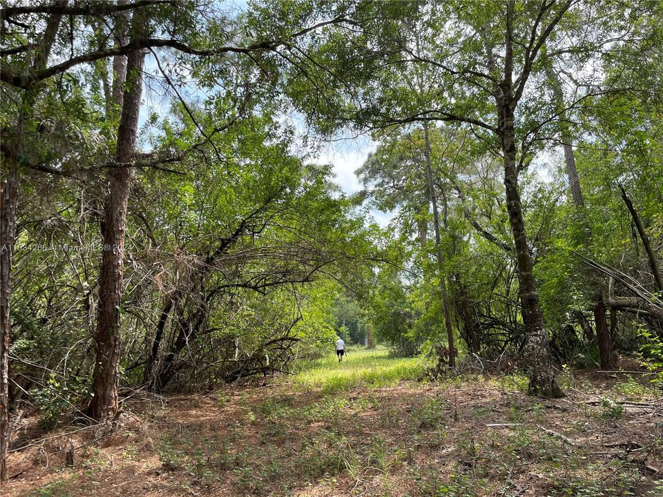 For Sale: $359,000 (10.48 acres)