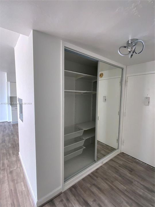 Entrance closet