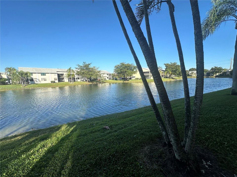 最近租的: $2,700 (3 贝兹, 2 浴室, 1195 平方英尺)