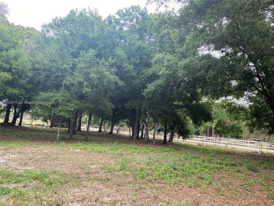 For Sale: $180,000 (2.50 acres)