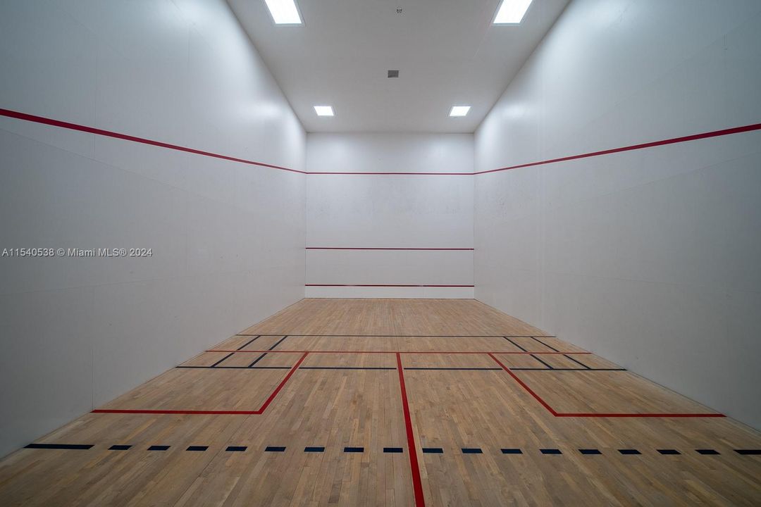 Full size Squash court